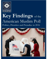 AMP 2016 Key Findings cover