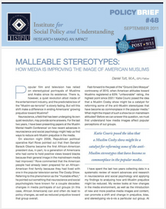 Malleable Stereotypes brief cover