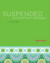 Suspended Somewhere Between book cover