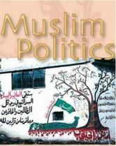 Muslim Politics book cover