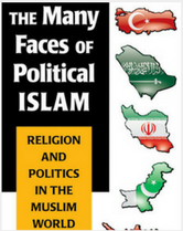 The Many Faces of Political Islam book cover