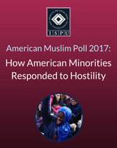 How American Minorities Responded to Hostility