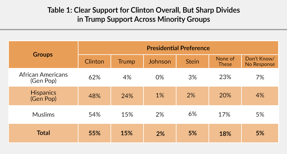 Table 1: A table showing that African Americans, Hispanics, and Muslims had clear support for Clinton in the 2016 elections, but there were sharp divides in Trump support across minority groups.