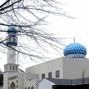 A neighborhood mosque with a blue dome