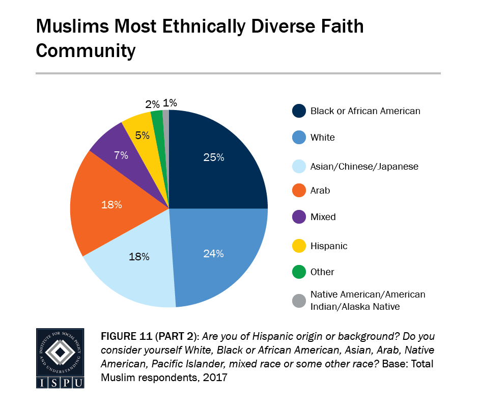 Figure 11, Part 2: Pie graph showing that Muslims are the most ethnically diverse faith community