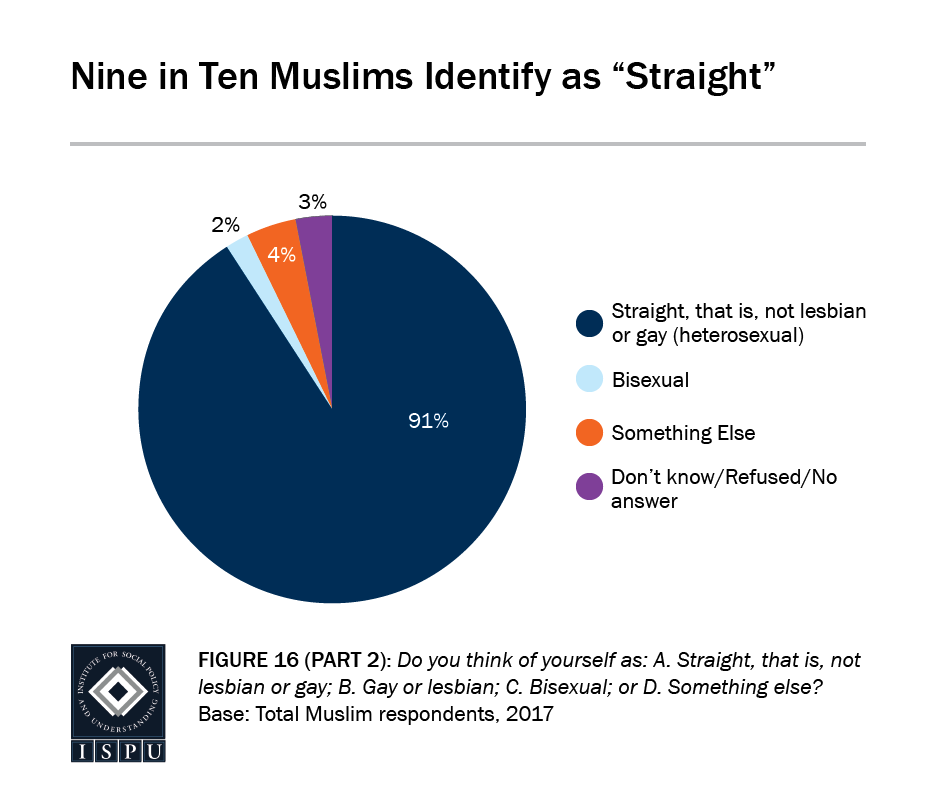 Figure 16, Part 2: Pie graph showing that 9 in 10 Muslims identify as "straight"