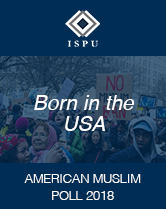 Born in the USA cover image